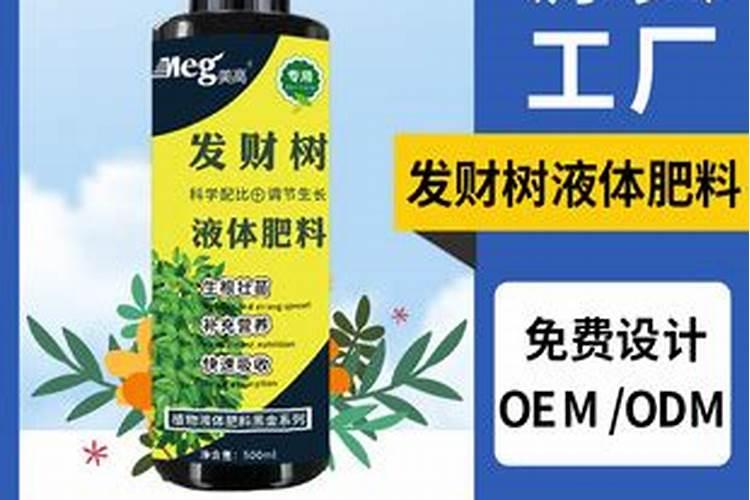 樱桃树夏季怎么养护