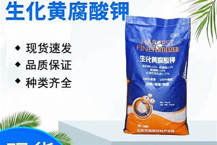 白菜移栽的方法和注意事项 白菜如何移栽