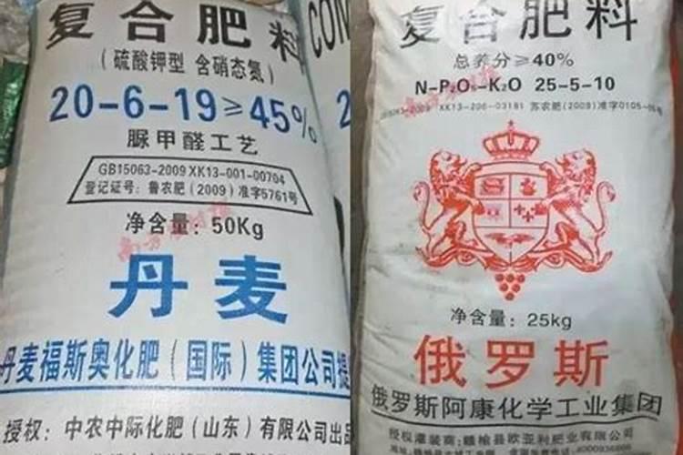 韭黄的种植方法是什么