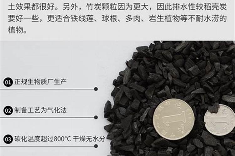兰花什么季节换盆最适宜