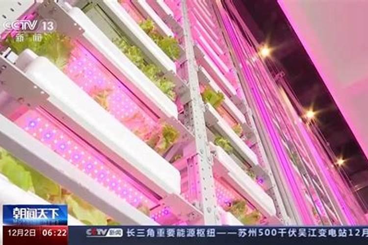 中国知名叶面肥生产厂家有哪些,那家做的比较好？