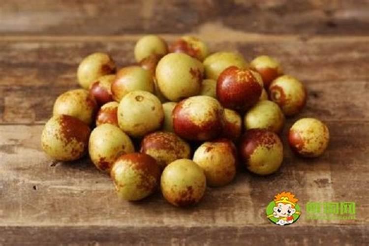 冬枣树施什么底肥好