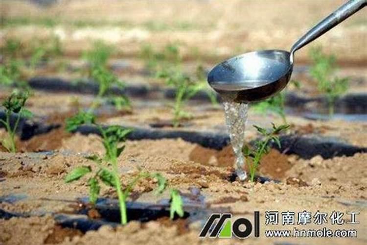 青菜在秋天种植的时候该怎么去施肥？一般施什么肥料？多久需要施肥一次...
