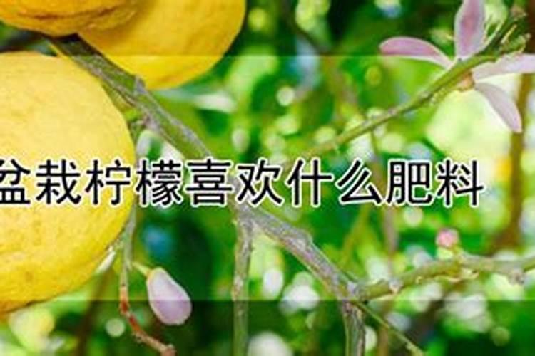 在柠檬树开花的时候,可以用磷酸二氢钾做肥料吗？。
