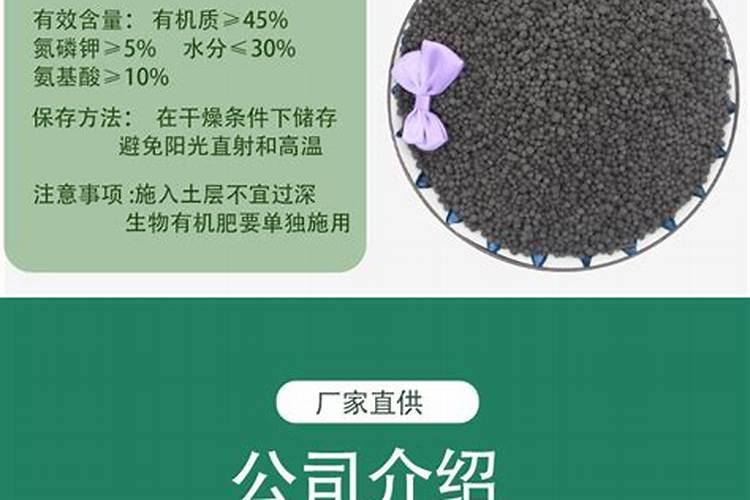 黄瓜最喜欢什么肥料