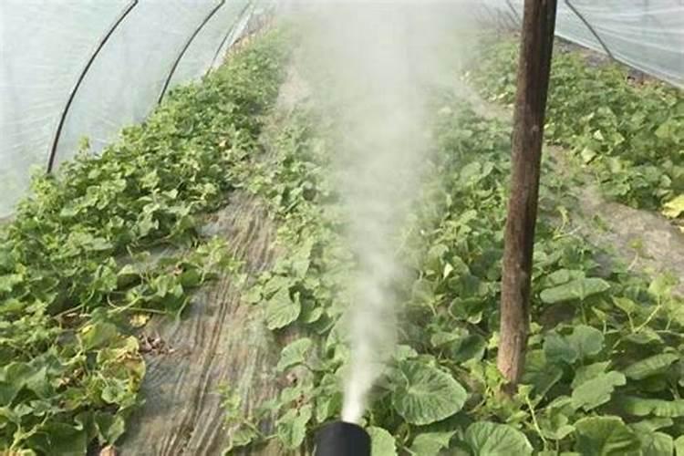 鱼食放了3年了还能喂鱼吗