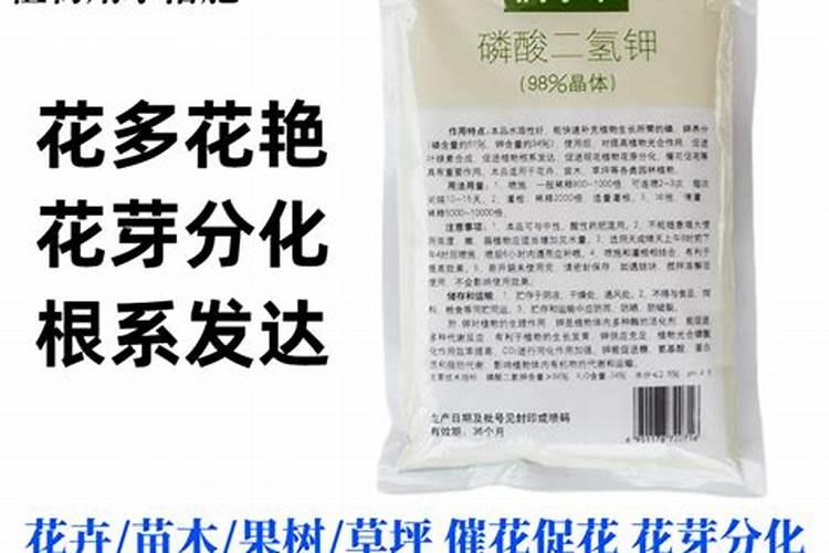 柚子太苦怎么办