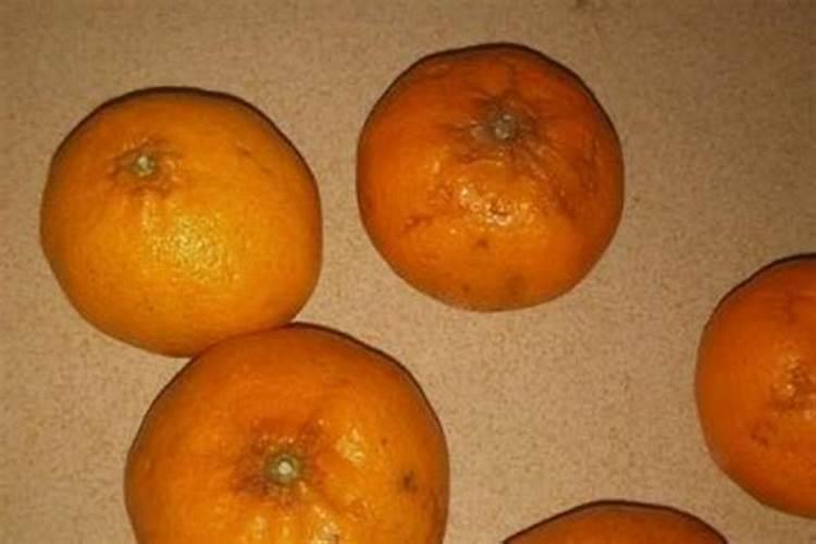 烂桔子可以做肥料吗？