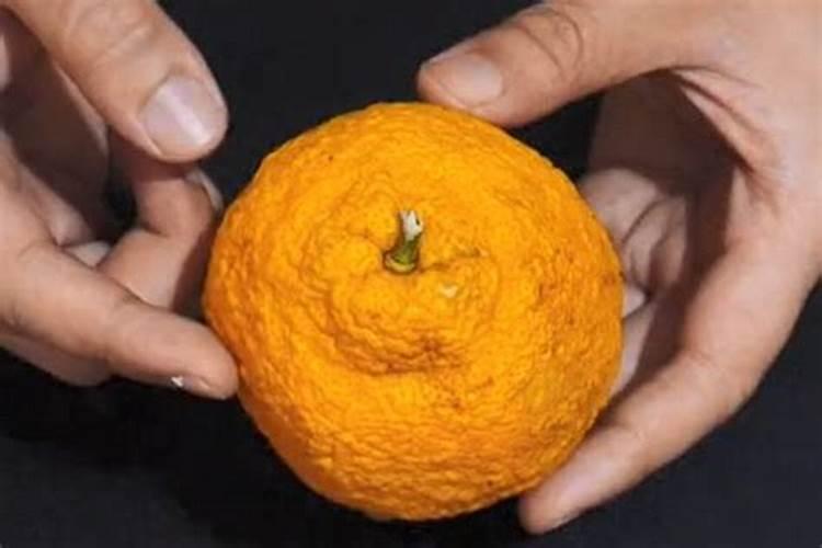 烂橘子可以做花肥吗