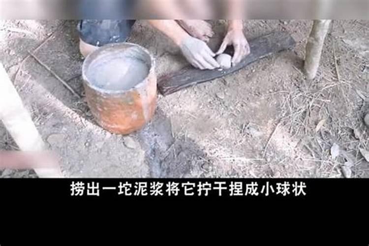硼肥在杨梅膨果时期能增加种子的饱满度吗 硼肥怎么施效果好