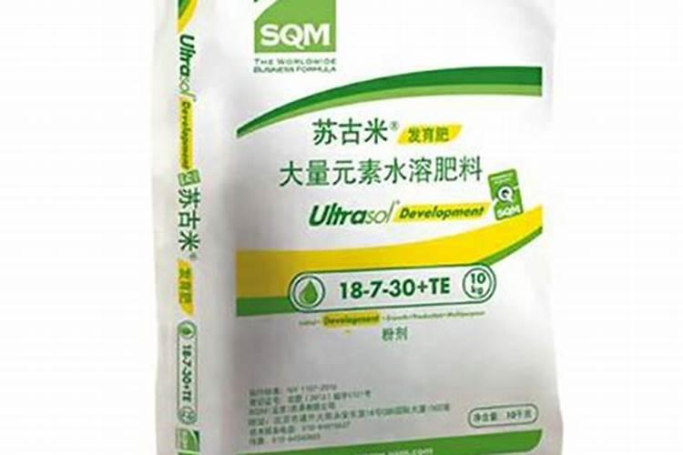 桂味荔枝的栽培技术