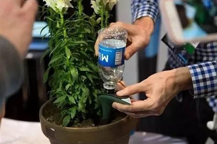 怎样计算农药的稀释倍数