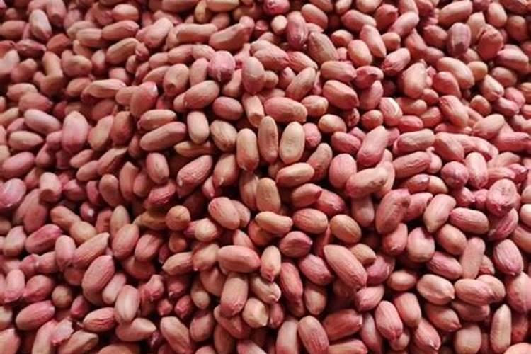 磷肥如何正确施用更高效