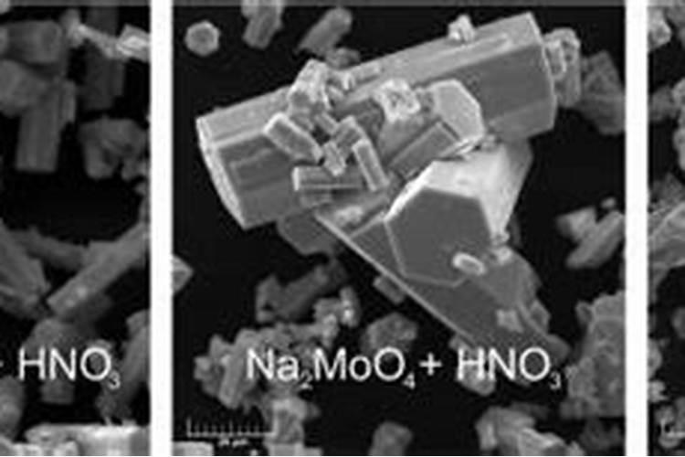 钼肥的作用及使用方法