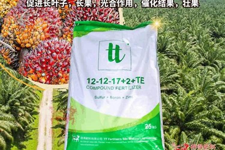 兰花喷什么叶面肥最好