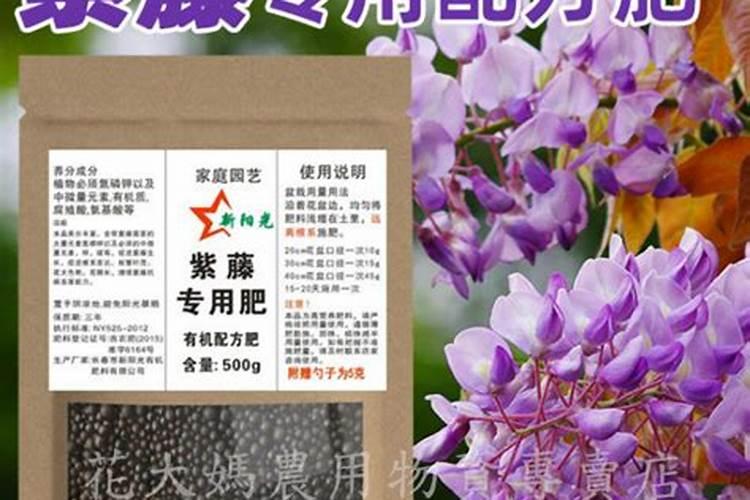 紫藤怎么养
