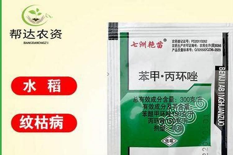 小麦叶子发黄,主根系成褐色