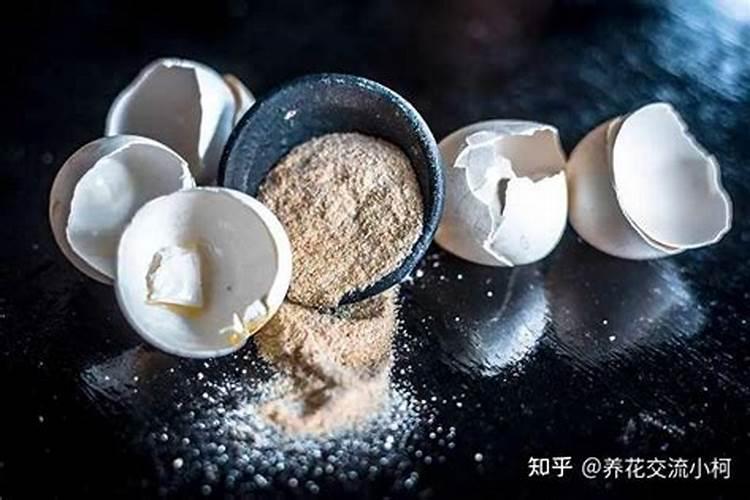 花卉叶面肥多久喷一次比较好 叶面肥打多了有害吗