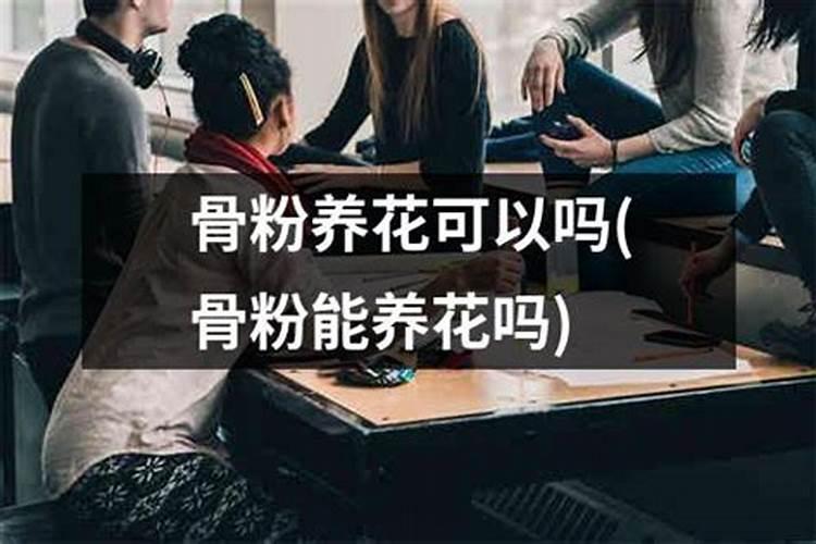 骨粉肥料怎么施肥最好