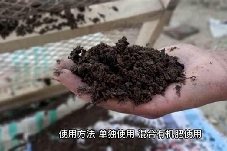 马蹄如何追肥