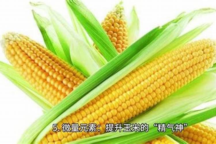 玉米喷什么叶面肥效果最好？