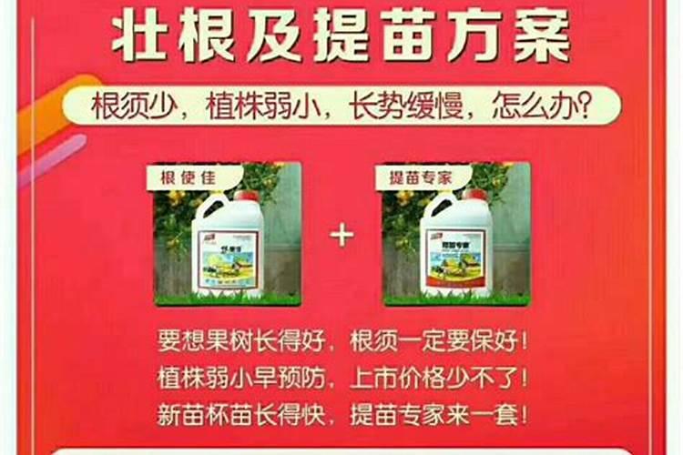 小葡萄苗施什么肥长的快
