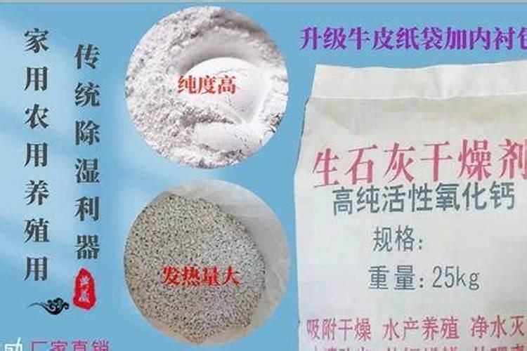 桑叶和什么时间采摘最好 桑树叶什么时候采摘