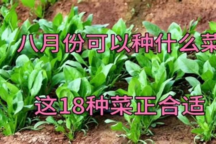 黄桃什么时候施肥