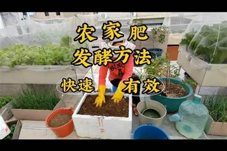菊花缺哪个元素,看叶子就够了!七大元素对应七大症状