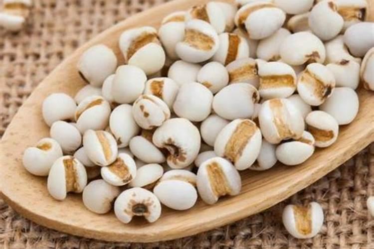 发霉的薏米可以养花吗？