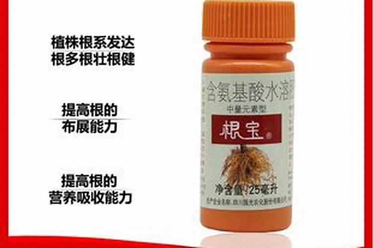 西瓜病害