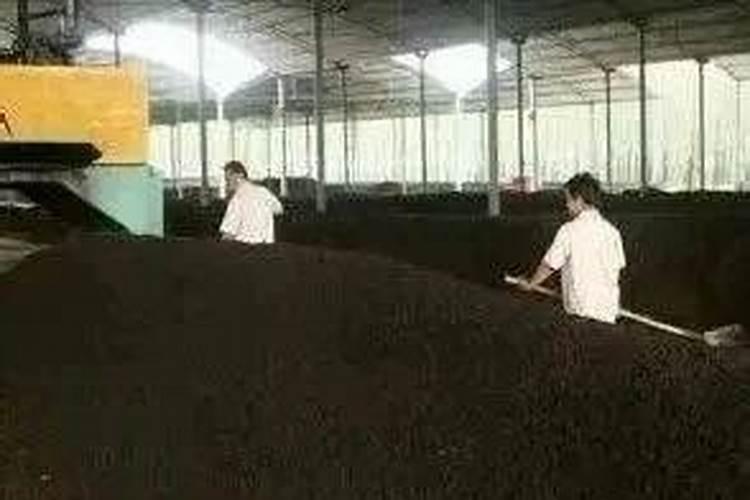 桔子施肥施什么肥最好