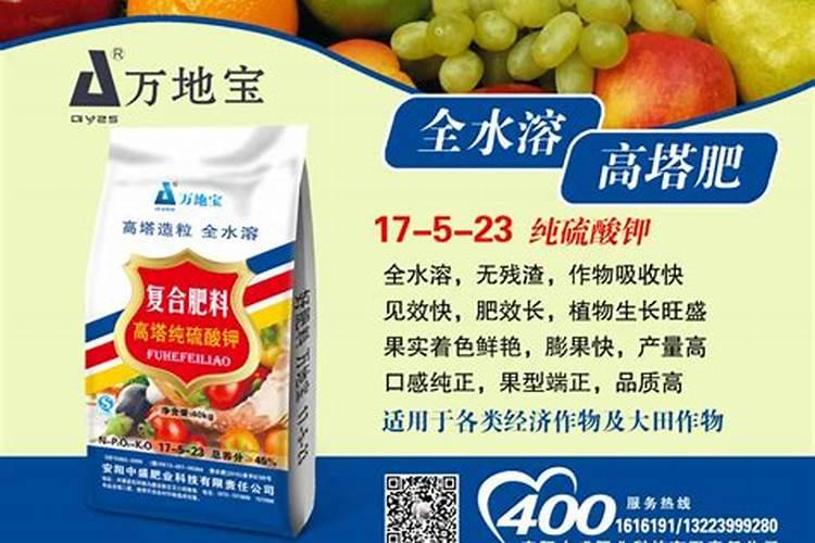 花生对于肥料的需求有哪些 哪种叶面肥可促花生高产