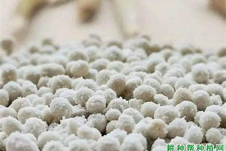 种菜地底肥用什么肥料最好