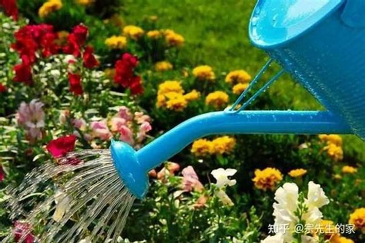 青菜在秋天种植的时候该怎么去施肥？一般施什么肥料？多久需要施肥一次...