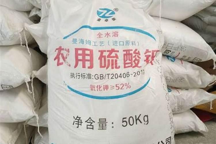 尿素适合种什么菜