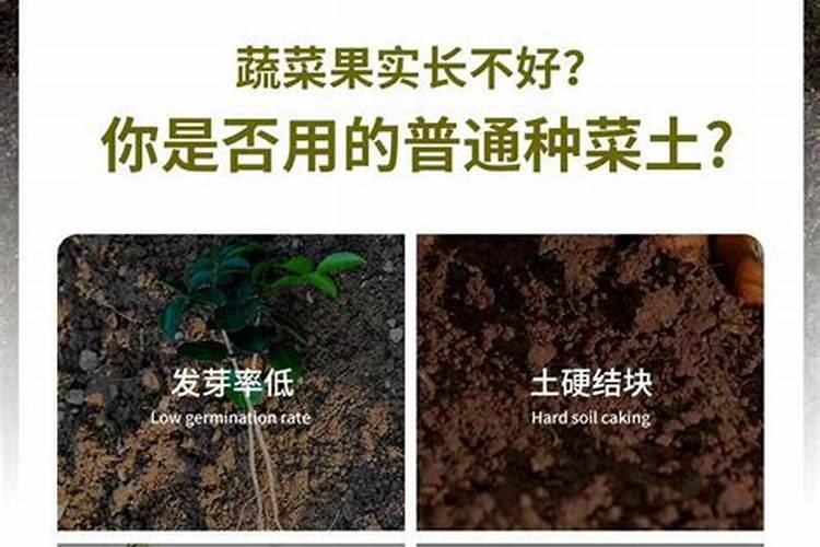 种菜用什么肥料比较好、菜子用什么肥料好