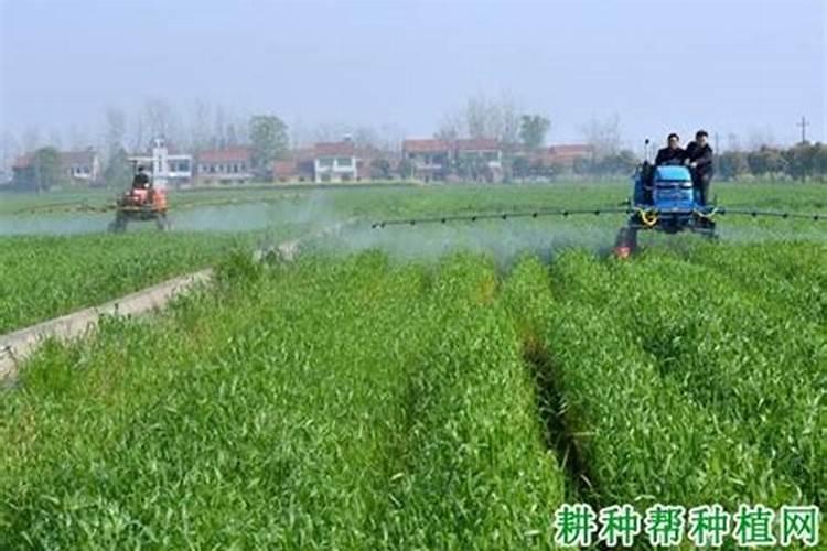 钙镁磷肥怎样用效果好 钙镁磷肥使用注意事项有哪些