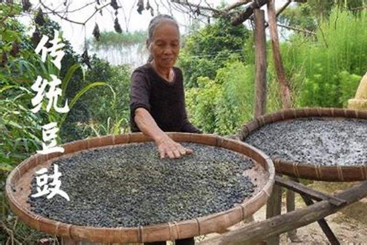 家养桔子树施什么肥料,腐熟的有机肥配叶面肥