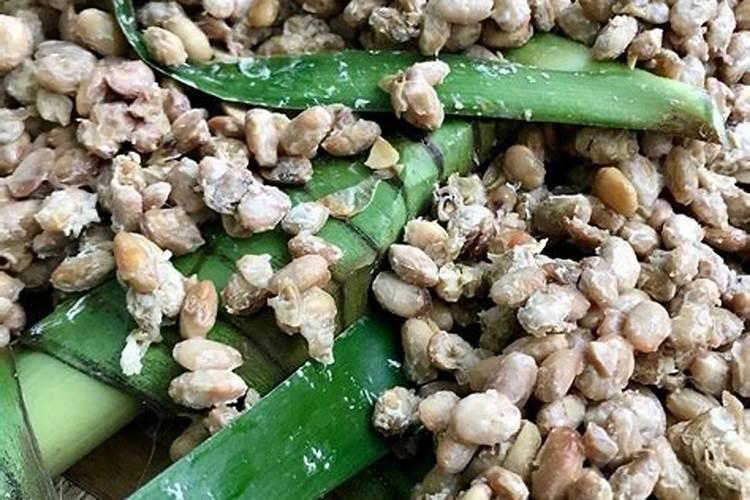 用这三种“水”浇灌秋天的花不烂根不黄叶长得像贼一样!