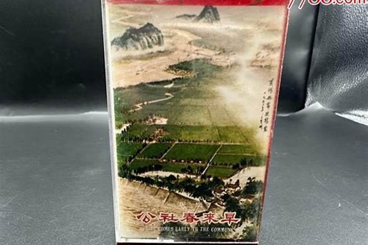 甜柿树施肥的最佳时间