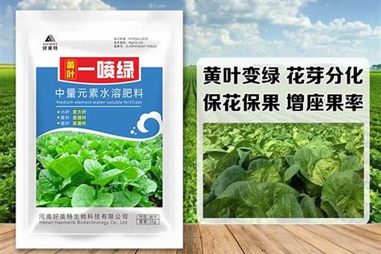 牛奶沤肥是什么肥