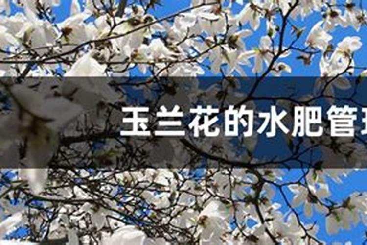氨基酸锌硼水溶肥冷却析出结晶是什么原因？