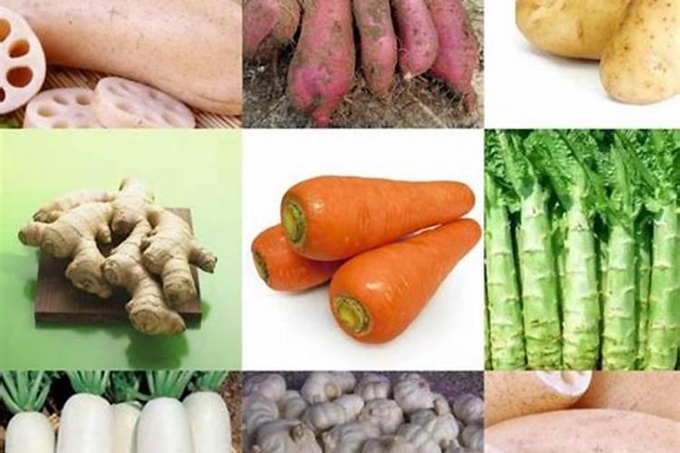 柿子树用什么肥料最好