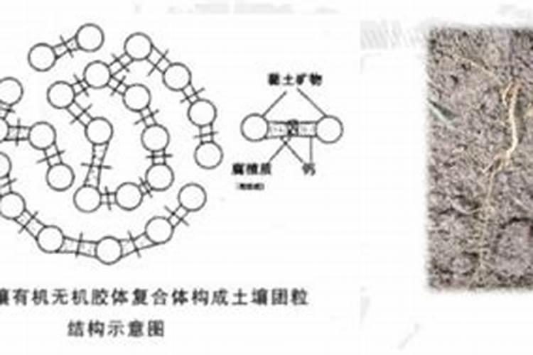 养殖水混浊该怎么处理海蛰圈水浑浊该怎样处理