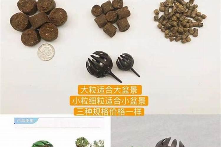 水生植物里加些什么营养好