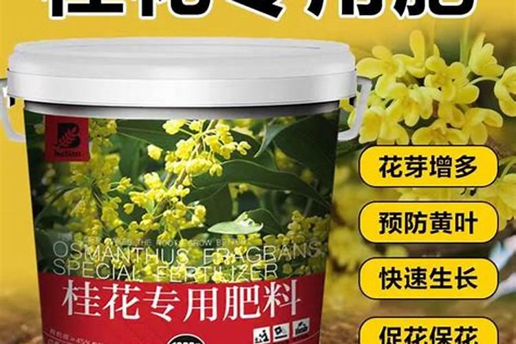 桂花树施肥用什么肥料