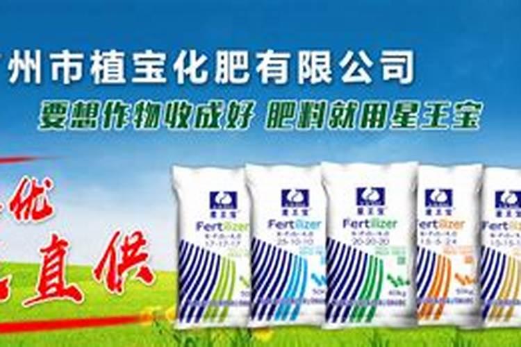 茶叶叶面肥催芽肥的正确使用