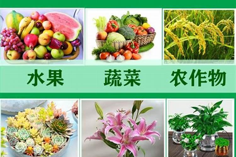 碱性杀菌剂能和磷酸二氢钾混用吗？为什么？