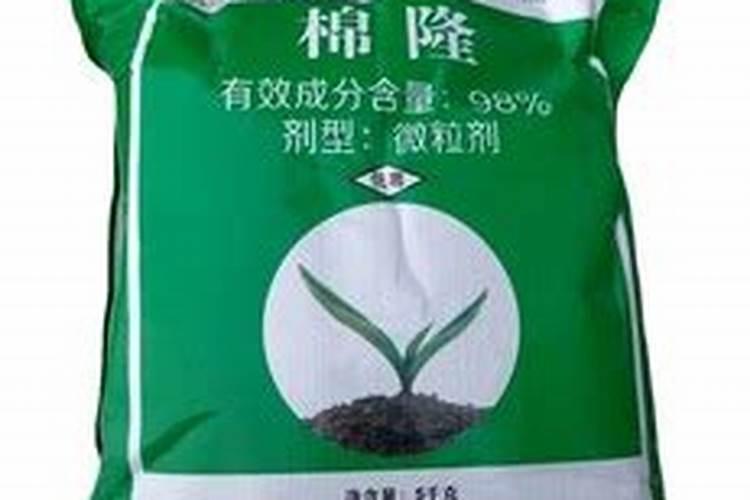 棉隆的特点如何？如何用来防治蔬菜病害？